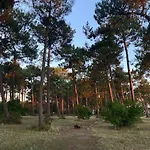 Avec Piscine Au Bassin D'arcachon * Гюжан-Местрас