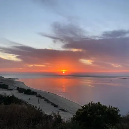 Avec Piscine Au Bassin D'arcachon * Gujan-Mestras